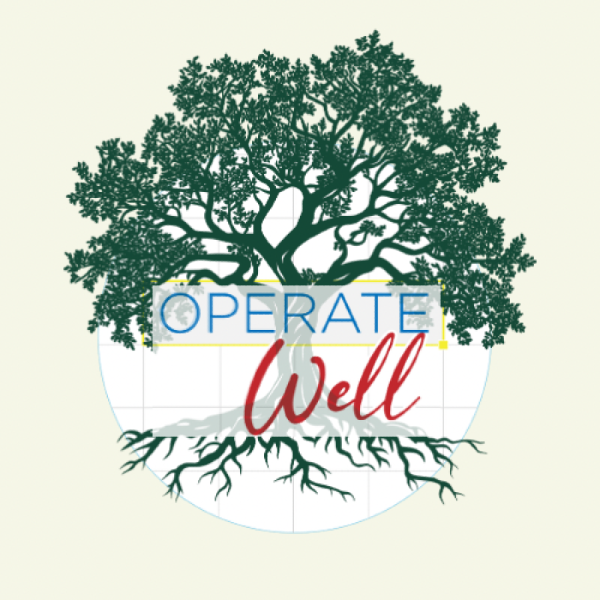 Exciting Updates from Operate Well Consulting in 2025