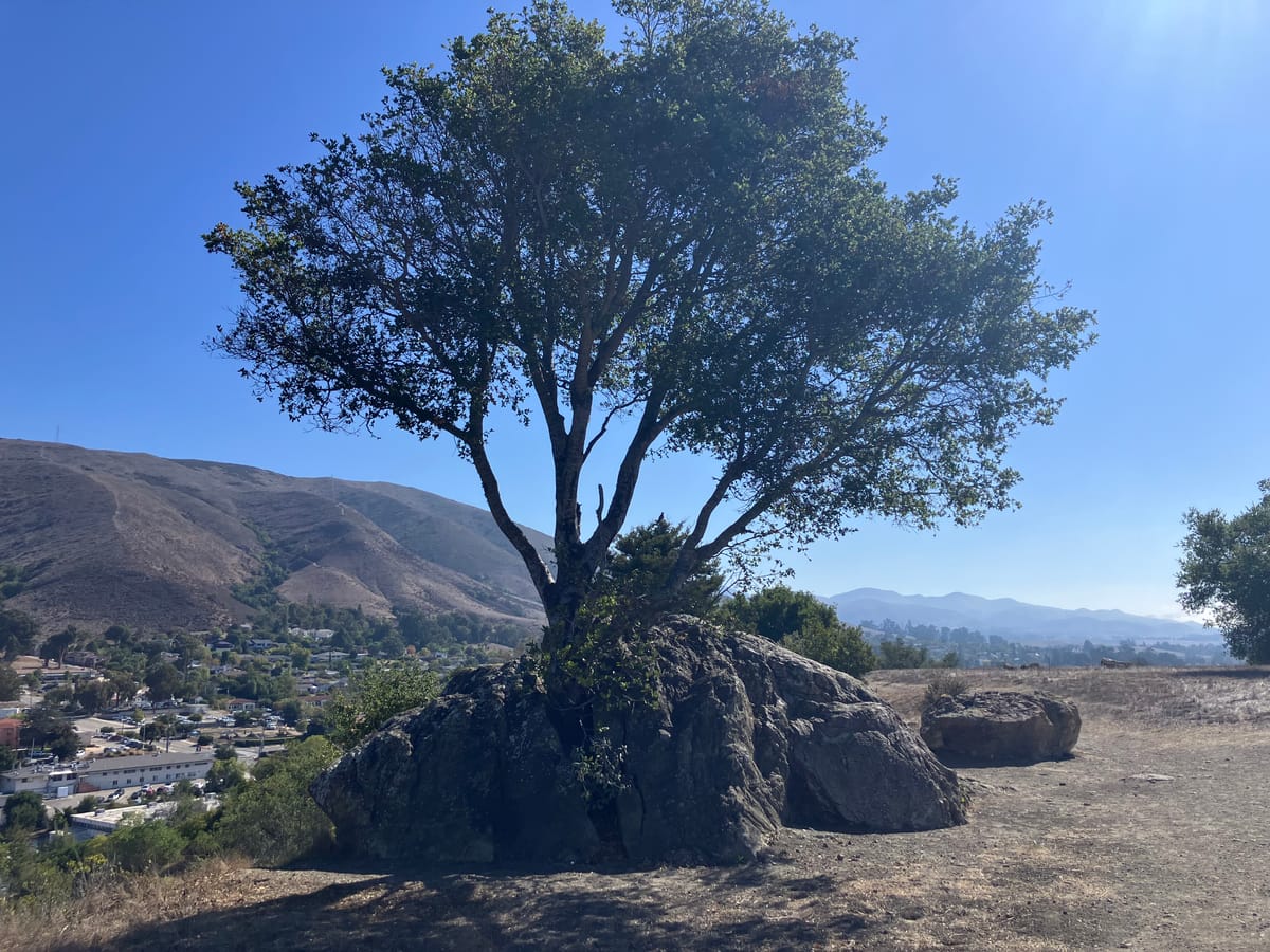 Recognition: Part 1 of The Case for Neuroinclusive Operations