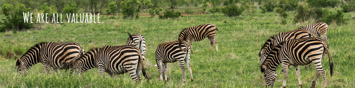 A Brave New Offering!